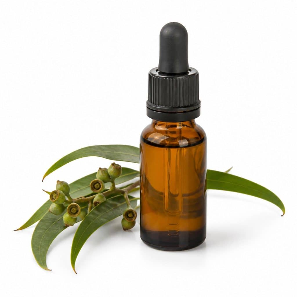 Huile essentielle d'eucalyptus radié présenté seul