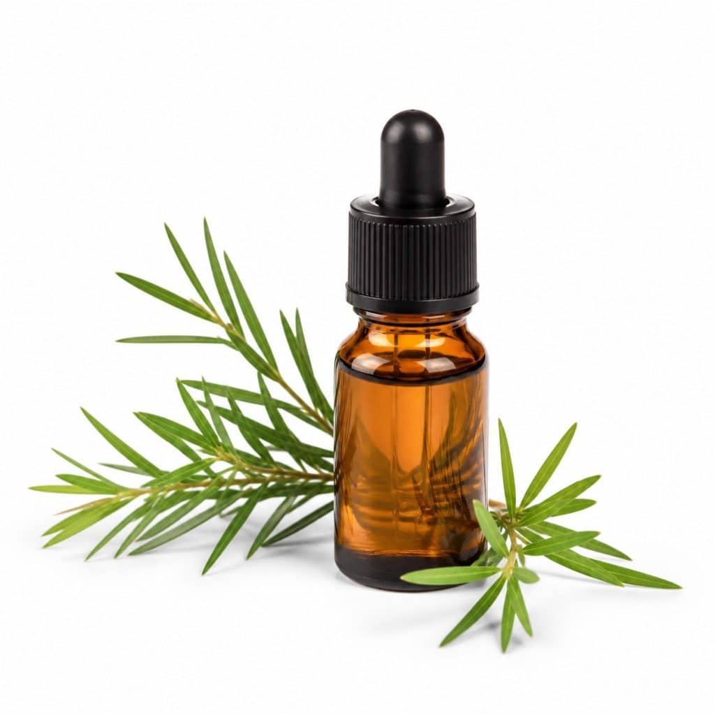 Huile essentielle de tea tree présenté seul